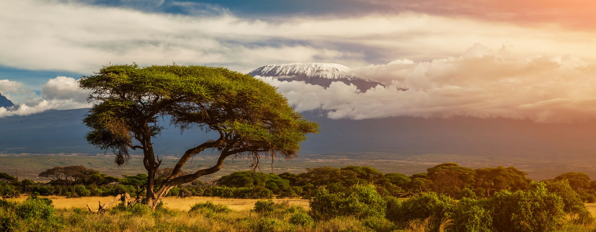 Kilimanjaro National Park