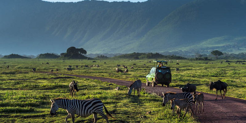 Ngorongoro Carter - Lake Eyasi