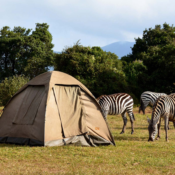 Mikumi National Park
